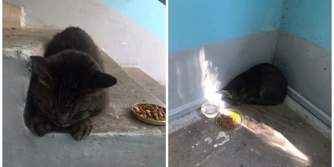 ГУ МЧС России по НСО