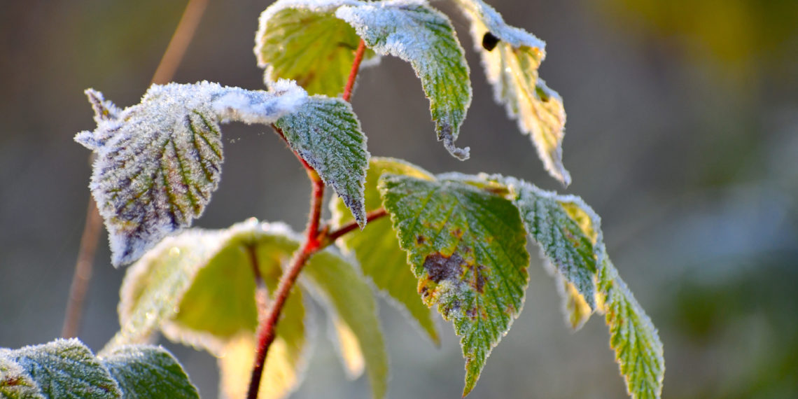 unsplash.com/Ralph Katieb