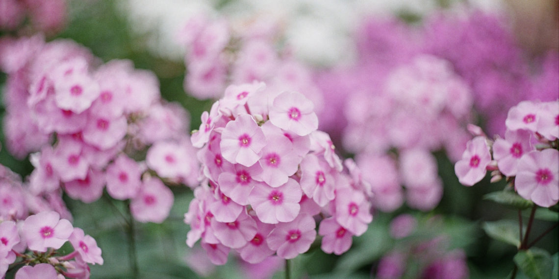 unsplash.com/Kseniya Petukhova