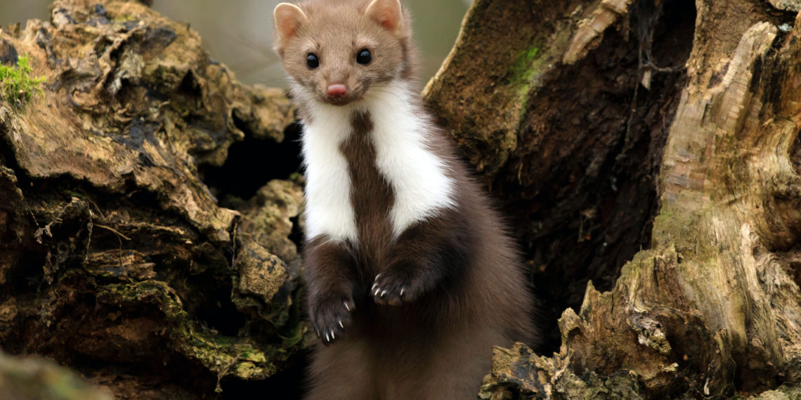 unsplash.com/Zdeněk Macháček