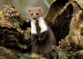 unsplash.com/Zdeněk Macháček