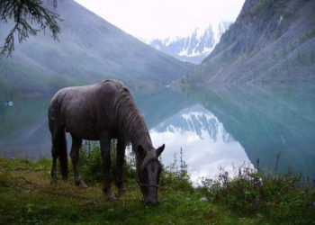 Пожарный из Новосибирска взобрался на Красавицу Алтая