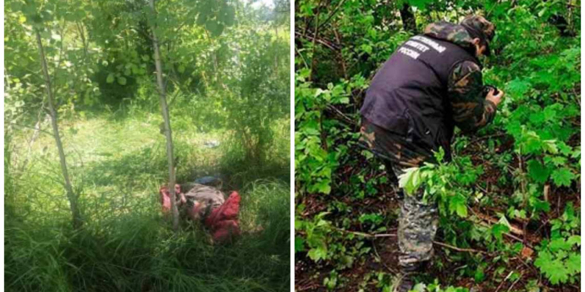 СУ СКР по НСО / Инцидент Новосибирск