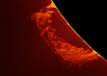 Алексей Поляков