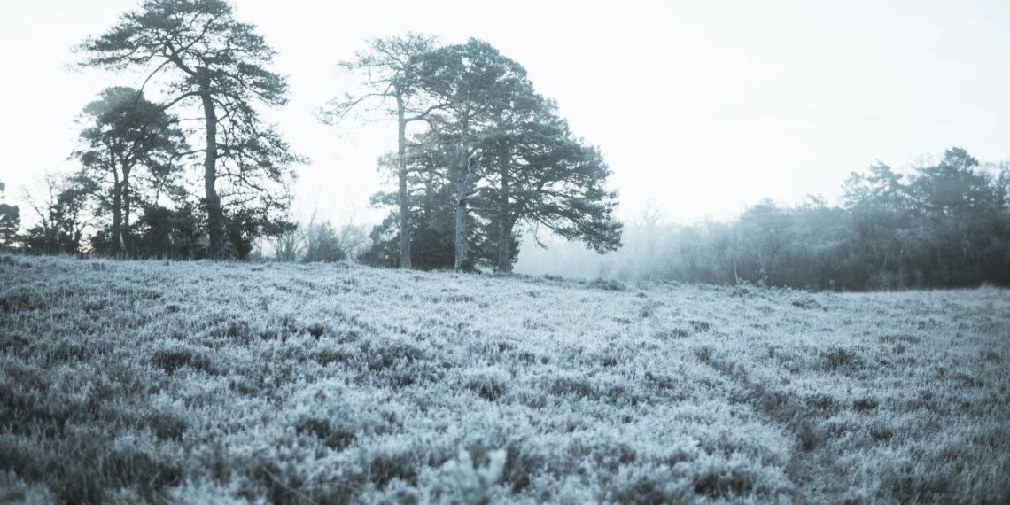 Октябрь встретит новосибирцев заморозками до минус 10 градусов, снегом и дождем