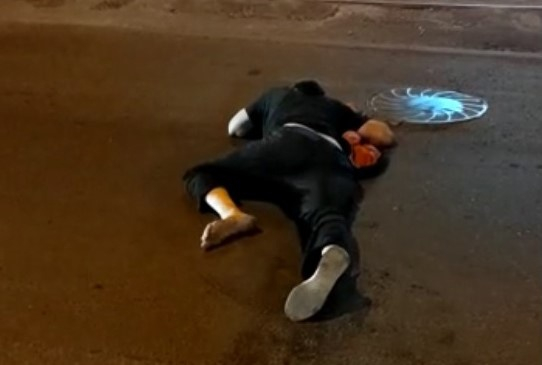 Гвардейцы поймали ползуна в Октябрьском районе Новосибирска