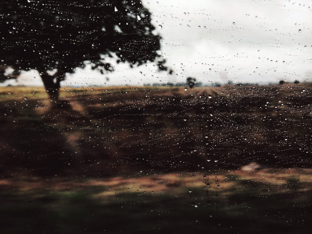 unsplash.com/Iva Rajović