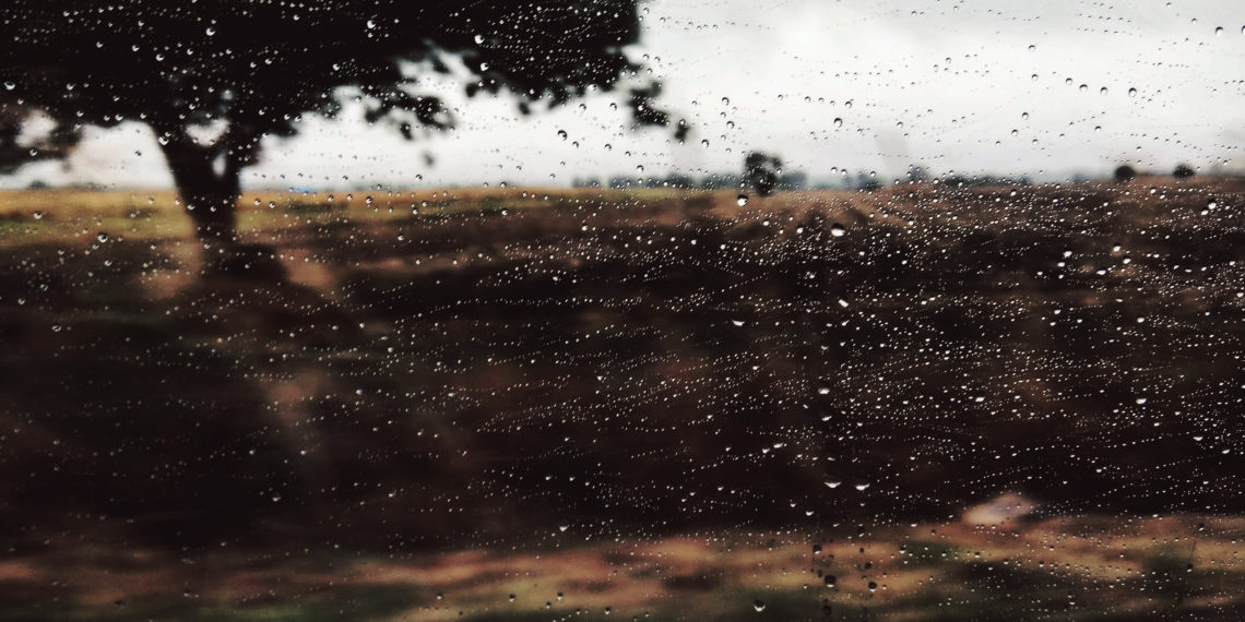 unsplash.com/Iva Rajović