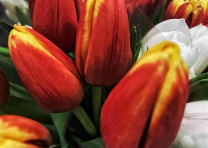 Букет на 1 сентября в Новосибирске подорожал на 24%