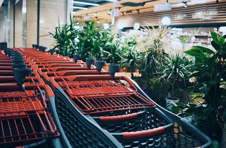 unsplash.com / Veronika Koroleva