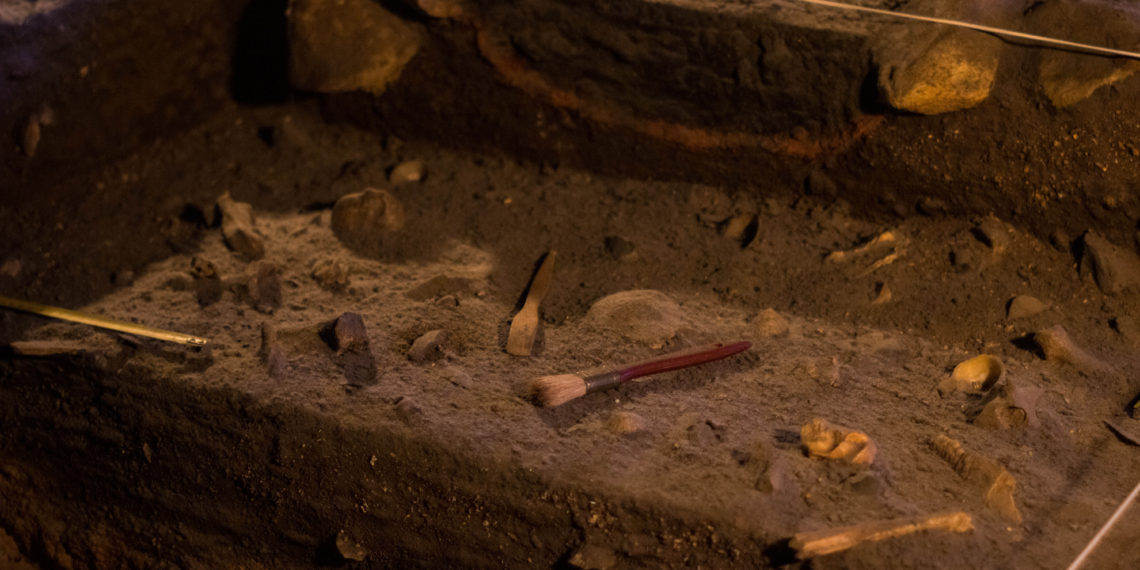 unsplash.com/Grianghraf, иллюстративное фото