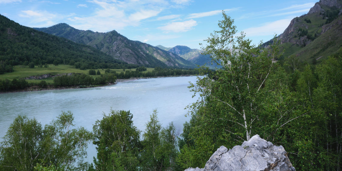 unsplash.com/ Denis Volkov