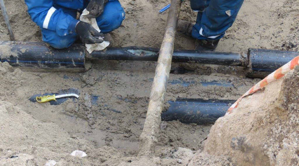 Центр Новосибирска и 20 населенных пунктов в области пострадали от незаконных действий в охранных зонах ЛЭП