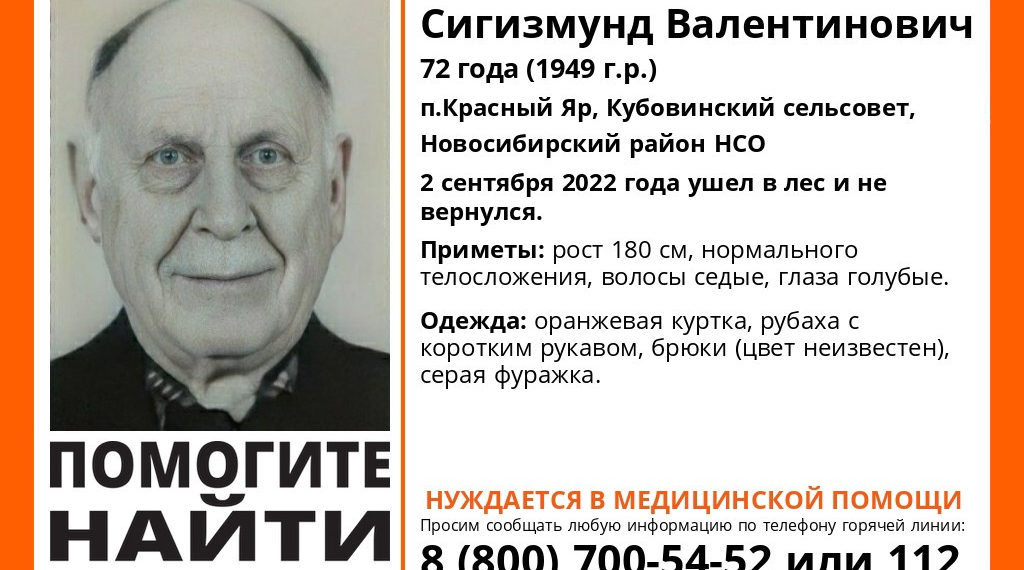 ЛизаАлерт