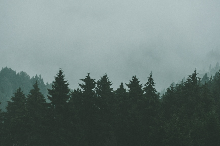 unsplash.com / Alp Duran