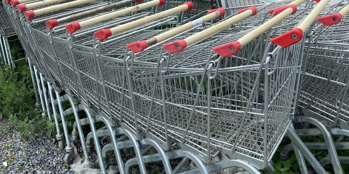 Похитителя тележек из Новосибирска отправят в колонию