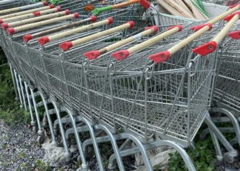 Похитителя тележек из Новосибирска отправят в колонию