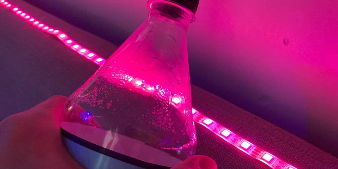 Энергетики перестанут продавать несовершеннолетним в Новосибирской области