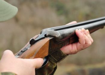 Мужчина убил лося и попал в руки полиции в Новосибирской области