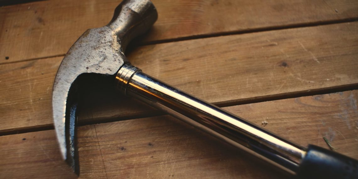 Душил и бил молотком: новосибирца будут судить за убийство кошки