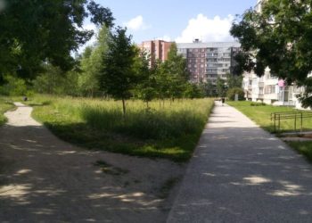 Бастрыкина заинтересовала ситуация с продажей сквера на Демакова в Академгородке