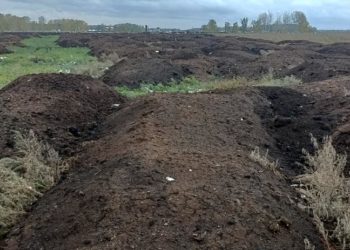 Опасную свалку с птичьим пометом на площади более 20 га обнаружили в Сибири