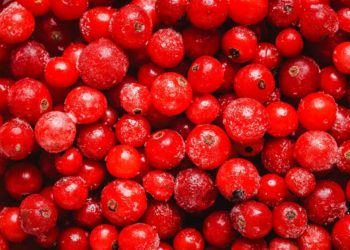 «Ушли за клюквой»: ни одного мужчину из села в Карелии не смогли мобилизовать