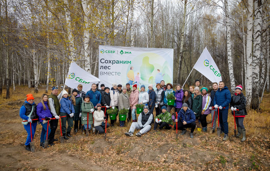 Сбер высадил почти восемь тысяч саженцев кедра в Мошковском районе Новосибирской области
