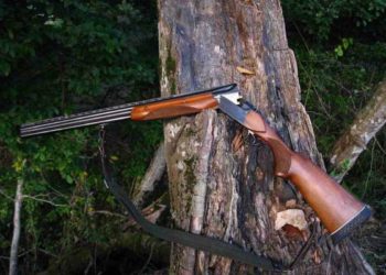 За убийство лося жителя НСО отправили на исправительные работы