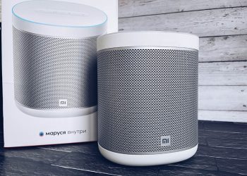 Команда VK объяснила восстание умной колонки жительницы Новосибирска