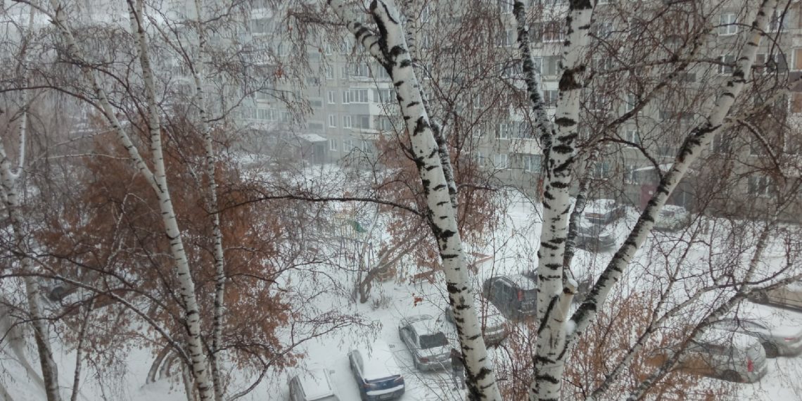 Метель и штормовой ветер надвигаются на Новосибирскую область