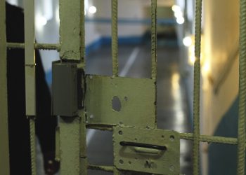 «Черный вдовец» из Чика обжаловал суровый приговор