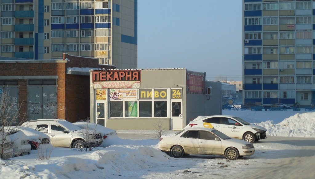 Волочаевский жилмассив Новосибирск.