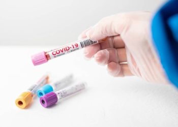 Доминирующие штаммы коронавируса сменятся в течение нескольких месяцев в России