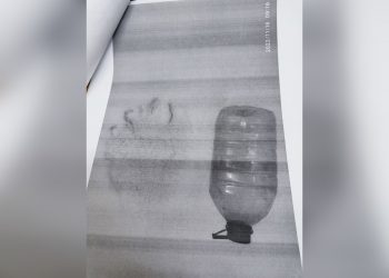 Оставил следы на берегу Оби: опасный медведь подобрался к Новосибирску