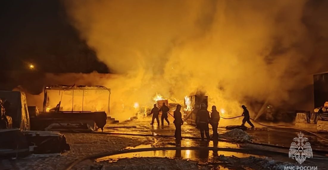 Один человек и 59 животных погибли при пожаре на ферме в Новосибирской области