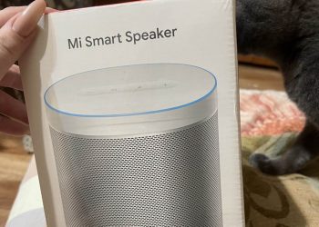 Умная колонка начала обзывать жительницу Новосибирска фашистом