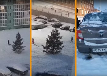 Живодер с Плющихинского жилмассива издевался над собакой на глазах у детей