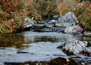 АО «Кудряшовское» придется заплатить почти 3 млрд рублей за вред природе