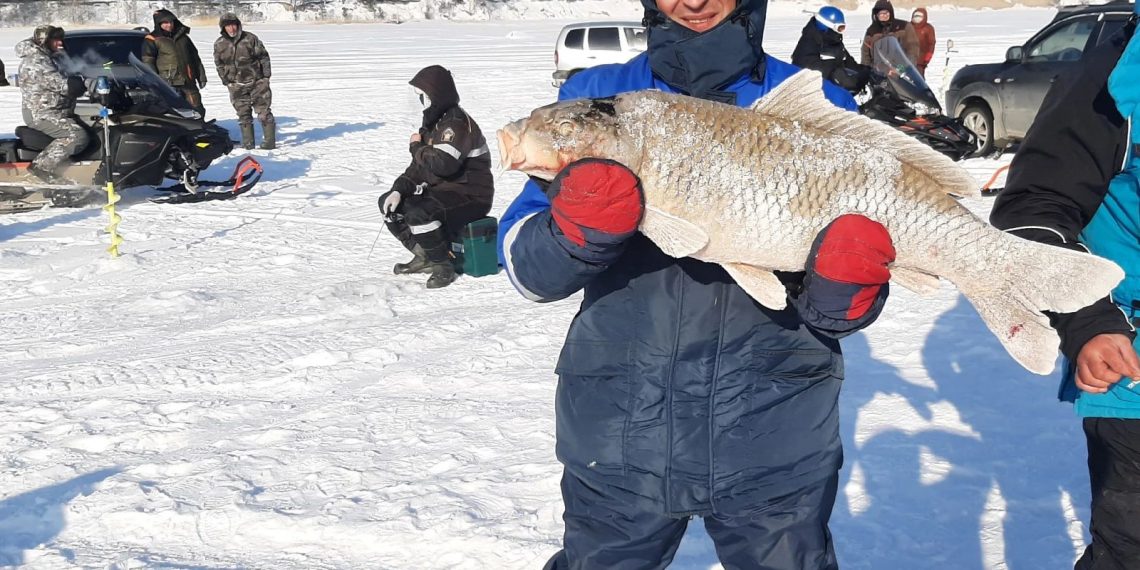 Новосибирцы поделились секретами успеха зимней рыбалки
