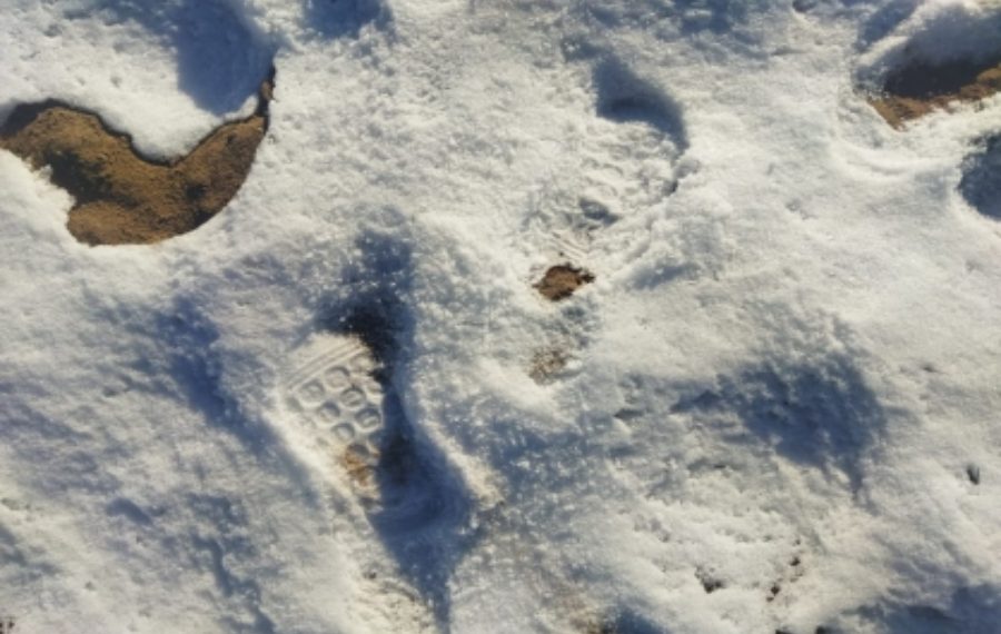 Четырёхлетняя девочка замёрзла ночью на улице в Бурятии