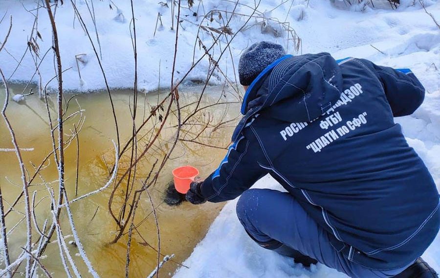 Прокуратура подключится к расследованию загрязнения реки Нарниста в Новосибирске
