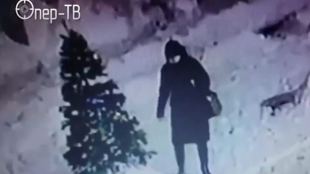 «Гринч» из Новосибирска прославился в соцсетях и сдался полиции