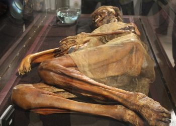 Мумию древнего алтайского воина с косами впервые показали в Новосибирске