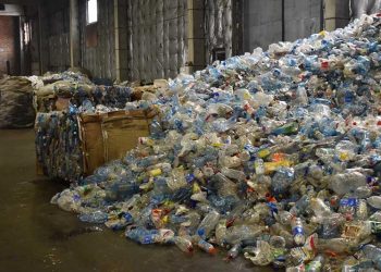 Новосибирская область оказалась в дюжине худших по сортировке отходов