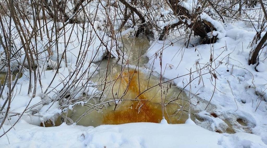 Четыре новосибирских предприятия подозревают в загрязнении Нарнисты