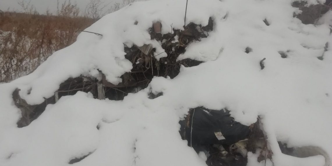 Свалку отходов организовали на плодородной почве в Искитимском районе