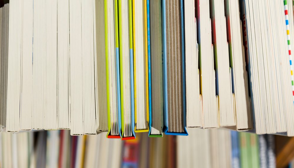 Главы про СВО и санкции впишут в новые учебники истории для 5-6 классов