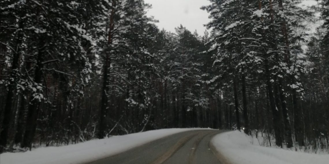 Вильфанд предупредил новосибирцев о морозах в новогоднюю ночь — 2023