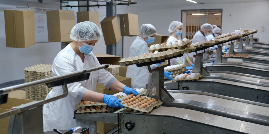 Рекордный урожай, новые рынки экспорта и грандиозные планы: новосибирские аграрии готовы наращивать объёмы производства